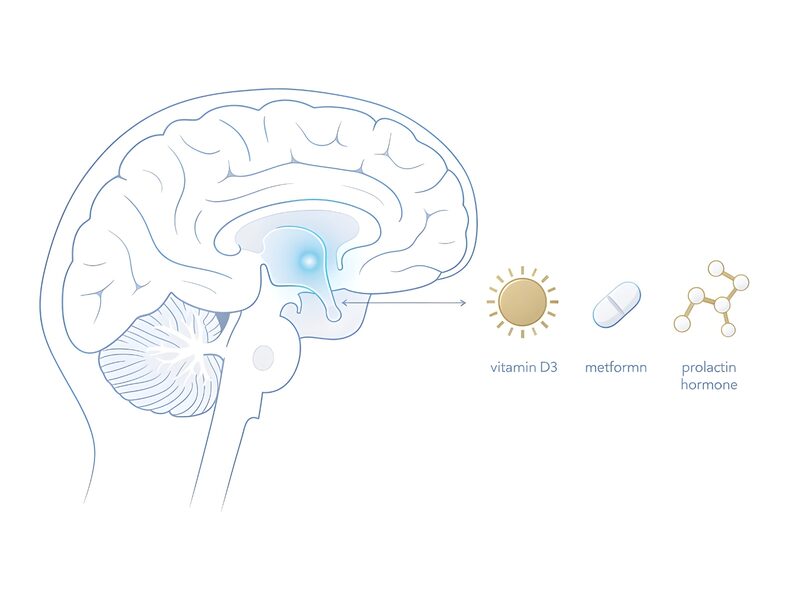 Ilustracja przysadki mózgowej z ikonami witaminy D3, metforminy i prolaktyny